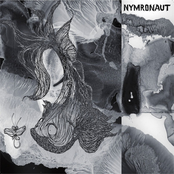 Nymronaut EP 2013
