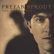 Couldn't Bear To Be Special by Prefab Sprout