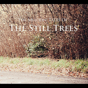 The Melodic Tales of the Still Trees