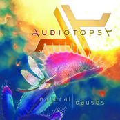 Audiotopsy: Natural Causes