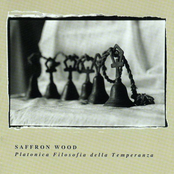 Danzando Tra Scilla E Cariddi by Saffron Wood