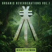Organic Reverberations Vol. 1 (mixed by Alymoon)