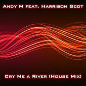 Cry Me A River ( house mix ) [feat. Harrison Scott]