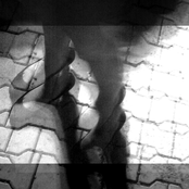 Without Palms [single]