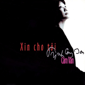 Xin Cho Tôi