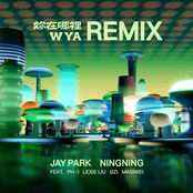 WYA Remix (feat. pH-1, 刘柏辛Lexie, ØZI & 马思唯) - Single