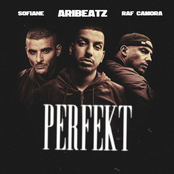 Perfekt (feat. Sofiane) - Single