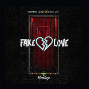 Fake Love