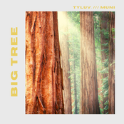 Big Tree