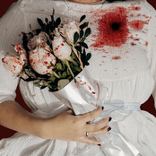 Cometa A La Deriva: Pedazos