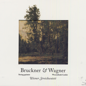 Bruckner, A.: String Quintet in F Major / Wesendonck-Lieder