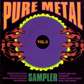 Pure Metal Sample Vol. 3