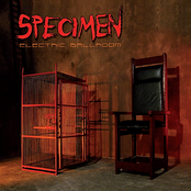 Nothing Lasts Forever by Specimen