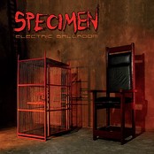 Play Prey by Specimen