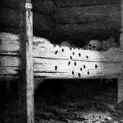 Mors Universa & Willowbrook