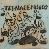 Teenage Moods