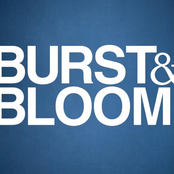 burst & bloom