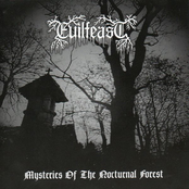 Mysteries of the Nocturnal Forest