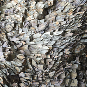 Study Work [2015-2017]