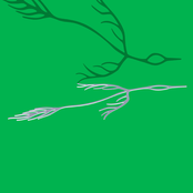 Astrid Sonne: outside of your lifetime