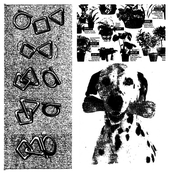 Gardens to visit this weekend