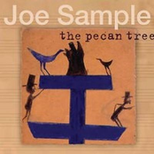 Hot And Humid by Joe Sample