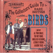the collectors' guide to rare british birds