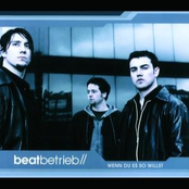 Wenn Du Es So Willst