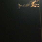 Good luck locking down this bengal tiger, I Ain't Goin' to the zoo so easy, just kidding I Can't wait to go the zoo - Single