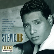 Stevie B.: Hits Anthology