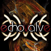 Echovalve