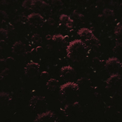 architectures vs strategy: remixes and reconstructions