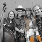 Foghorn Stringband