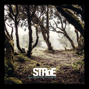 My Dear It’s Getting Morning Soon