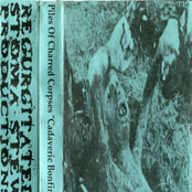 Cadaveric Bonfire