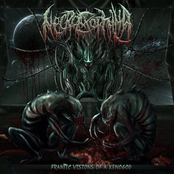 Necroexophilia