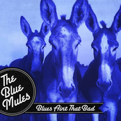 Blues Aint That Bad
