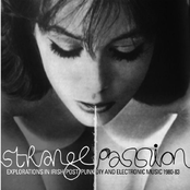 Strange Passion: Explorations in Irish Post Punk DIY and Electronic Music 1980-83