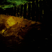 This Lynchmob Won't Organise Itself