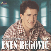 Enes Begovic: Enes Begovic