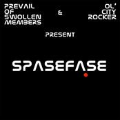 Spasefase