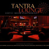 Tantra Lounge - Exotic Indian Electronica