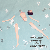 It Wasn't Supposed To End Like This