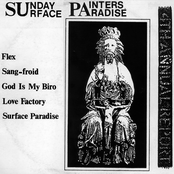 Surface Paradise-4th Annual Report