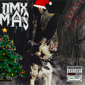 DMX-mas