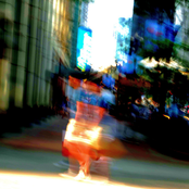 none of these words are in the bible