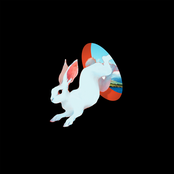 Ganser: Animal Hospital