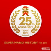 SUPER MARIO HISTORY 1985-2010