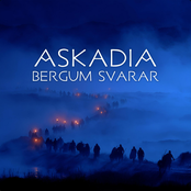 Bergum Svarar