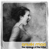 The Revenge Of The Tribe